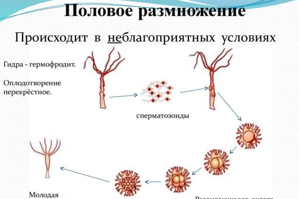 Кракен дарк ссылка