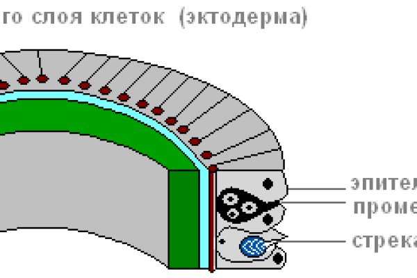 Kraken сайт tor