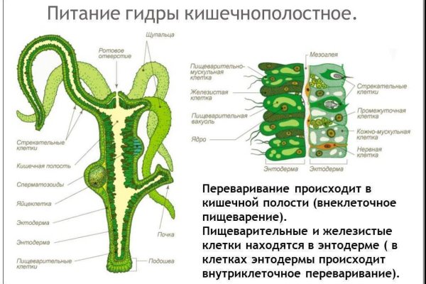 Tor kraken маркет