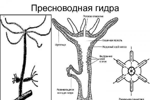 Кракен маркет даркнет только через торг